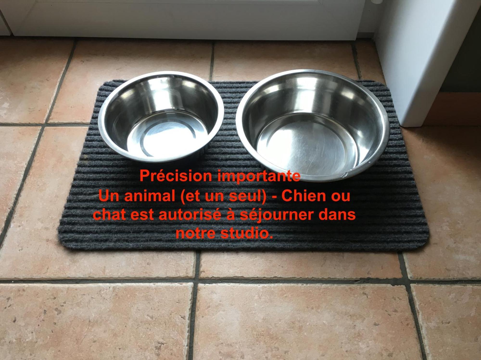 Apartment Brise De Sur La Naturelle, A , Parking *